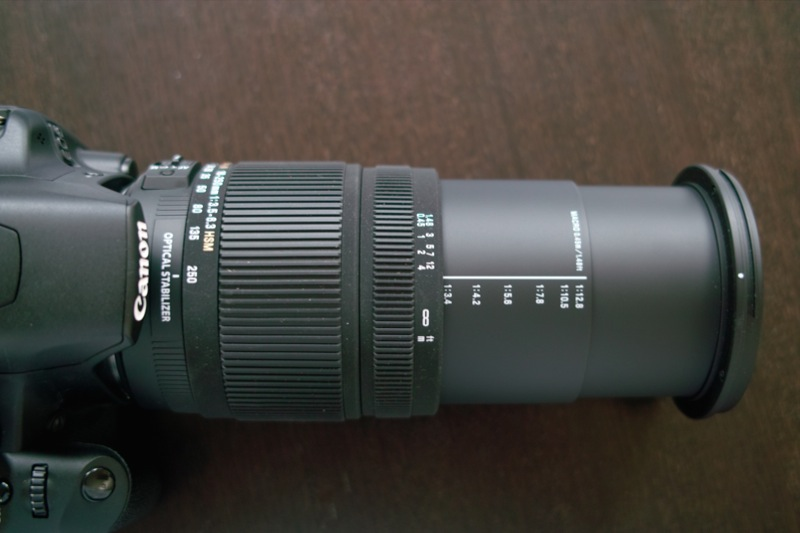 Illustration for article titled Sigma's Zoomy 18-250mm Lens Review/Rant: Better to Have 1 Lens or Many?